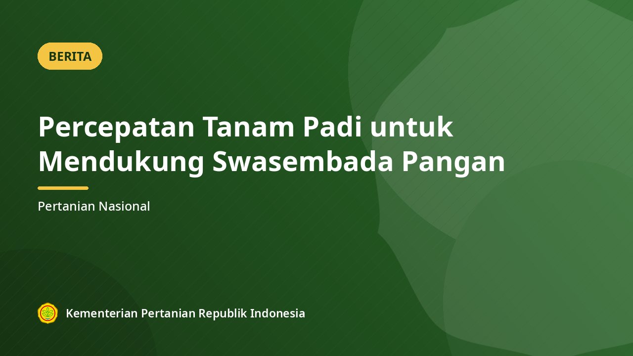 Percepatan Tanam Padi untuk Mendukung Swasembada Pangan