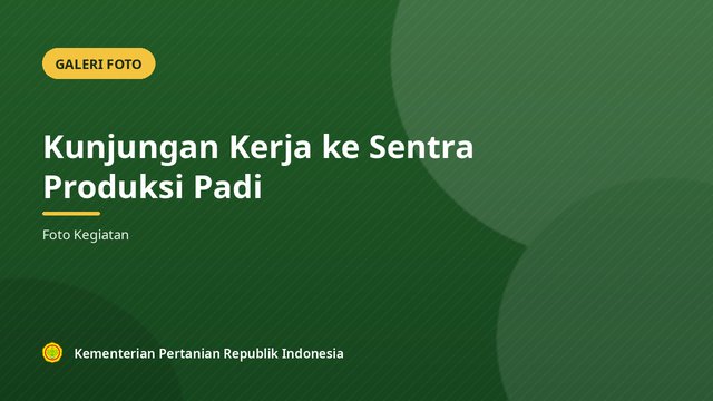 Kunjungan Kerja ke Sentra Produksi Padi